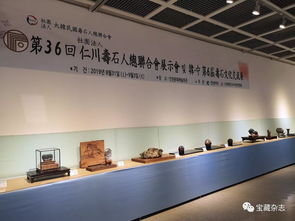 以石为媒，跨越山海 青岛民间赏石艺术开启跨国交流新篇章